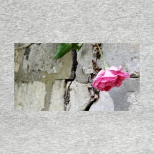 Paris Pere LaChaise Cemetery Wall T-Shirt